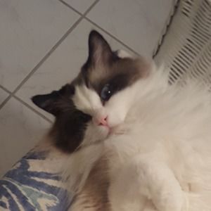 Meet your Posher, Sandra